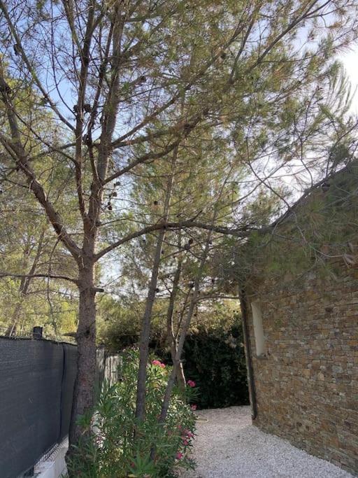 Maison Proche Du Pic Saint Loup מראה חיצוני תמונה